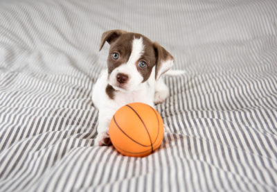 Catch Word #64 – Having a ball