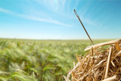 Catch Word #79 – Needle in a haystack