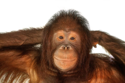 Catch Word #85 – Written all over your face