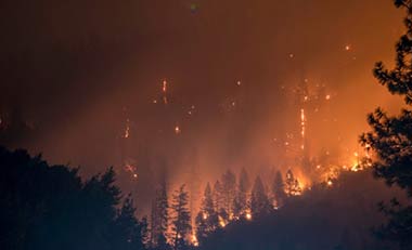 Chatterbox #216 – Forest fires