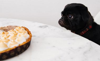 Real Talk #030 – I don’t care for that