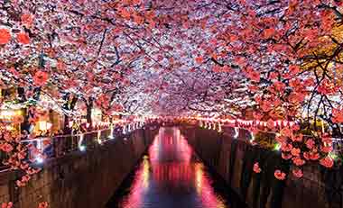 Chatterbox #232 – Interview with Matt vs Japan