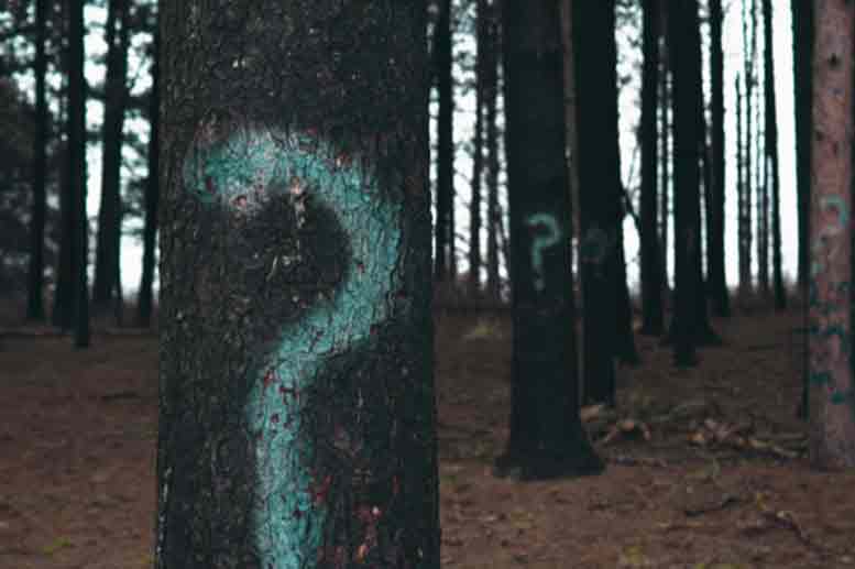 Catch Word #215 – I totally blanked