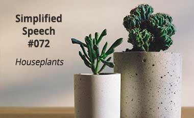 Simplified Speech #072 – Houseplants
