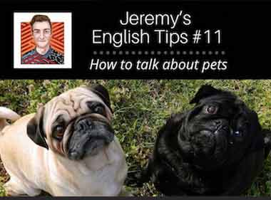 Jeremy’s English Tips #11: How to talk about pets