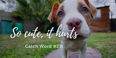 Catch Word #231 – So cute, it hurts