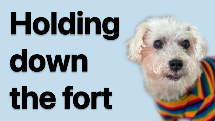 Bonus Episode #03 – Holding down the fort