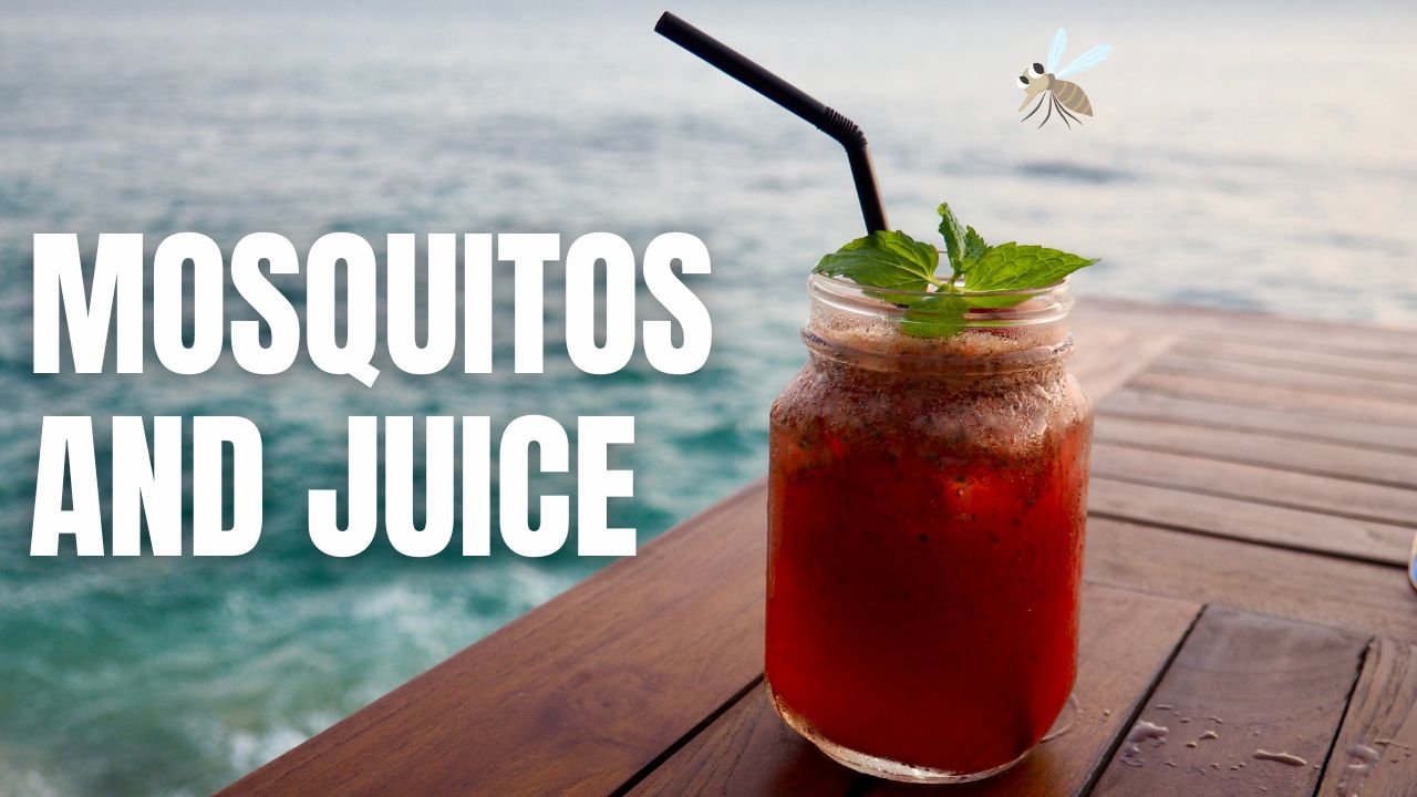 Bonus Episode #020 – Mosquitos and juice