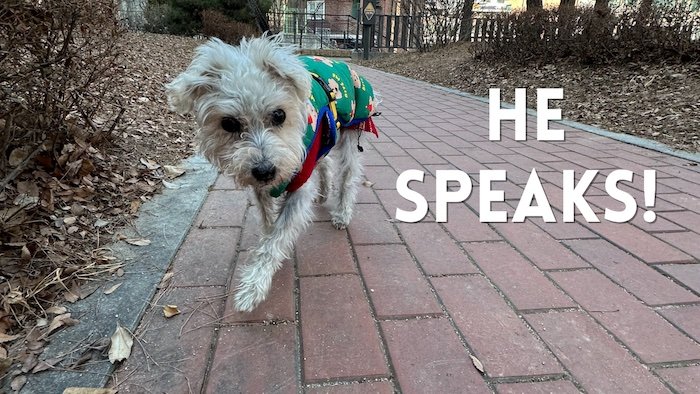 Bonus Episode #044 – He speaks!