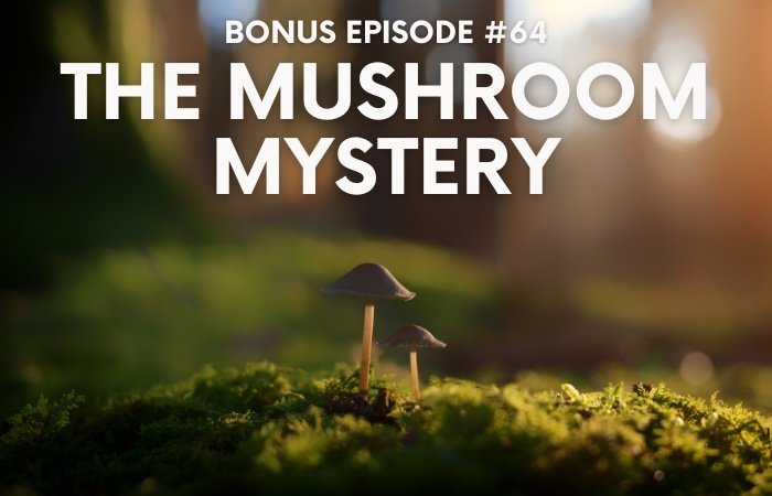 Bonus Episode #064 – The mushroom mystery