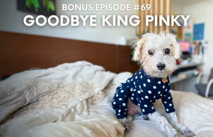 Bonus episode #069 – Goodbye King Pinky