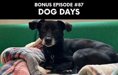 Bonus episode #087 – Dog days