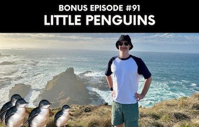 Bonus episode #091 – Little penguins