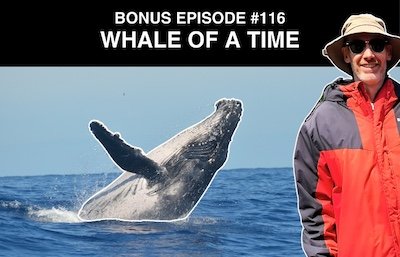 Bonus episode #116 – Whale of a time