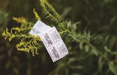 Catch Word #281 – Just the ticket