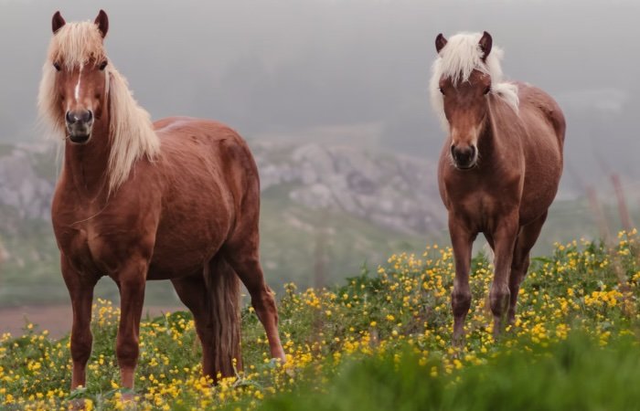 Catch Word #284 – A dead ringer